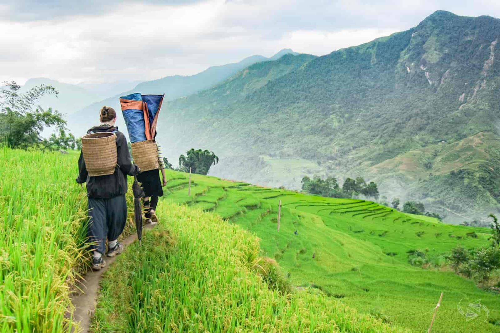 Top 10 Best Places for Trekking in Vietnam