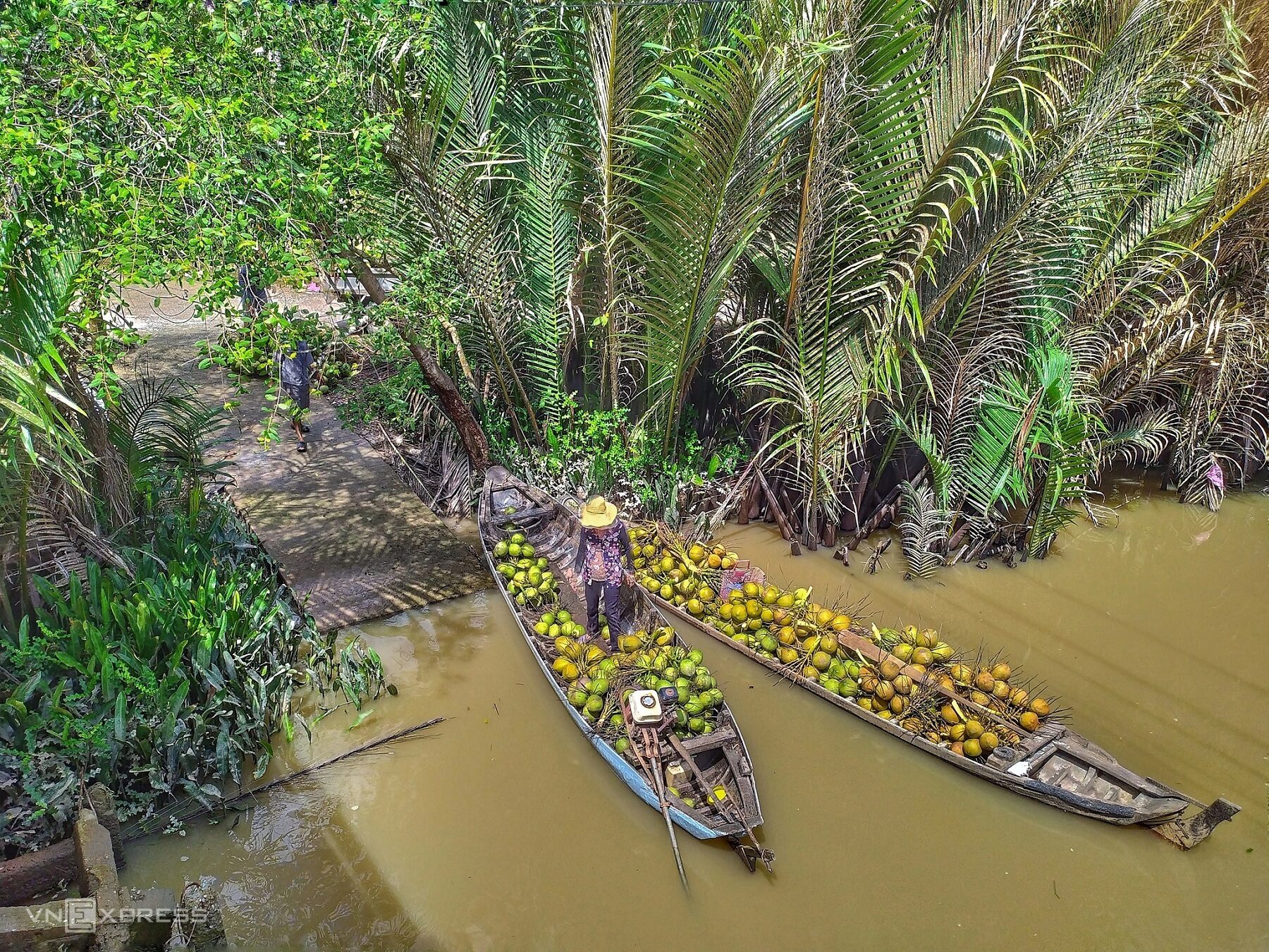 Ben Tre Coconut Wine