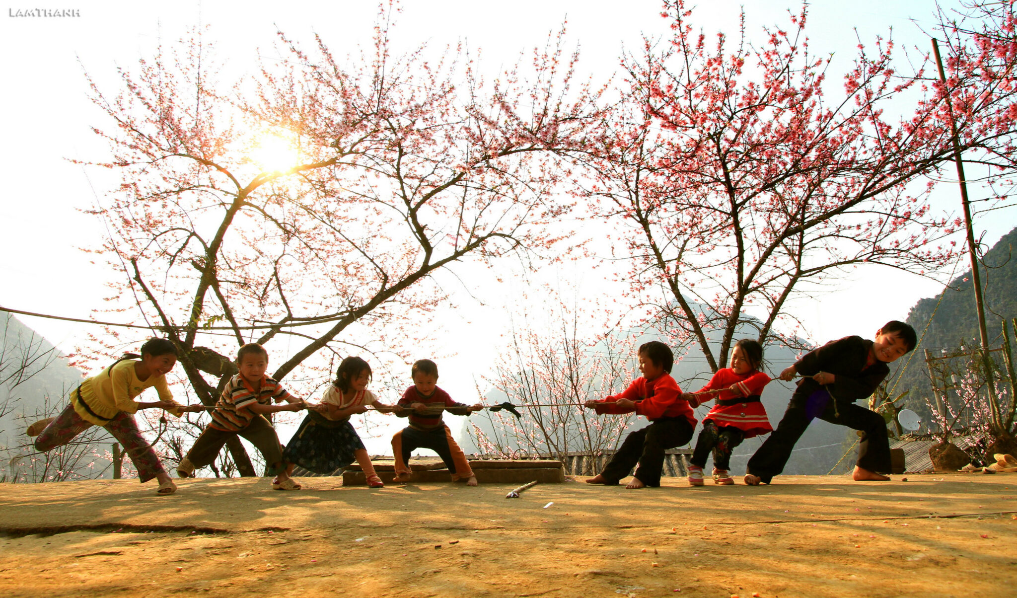 Vietnamese games: 10+ options for immersive cultural entertainment